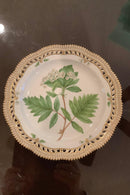 Stort Fantastisk Gammelt Royal Copenhagen Flora Danica Sæt 71 dele - Danam Antik