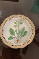 Stort Fantastisk Gammelt Royal Copenhagen Flora Danica Sæt 71 dele - Danam Antik