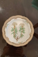 Stort Fantastisk Gammelt Royal Copenhagen Flora Danica Sæt 71 dele - Danam Antik