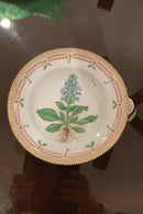 Stort Fantastisk Gammelt Royal Copenhagen Flora Danica Sæt 71 dele - Danam Antik