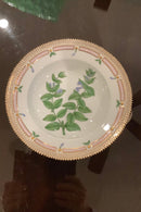 Stort Fantastisk Gammelt Royal Copenhagen Flora Danica Sæt 71 dele - Danam Antik