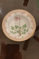 Stort Fantastisk Gammelt Royal Copenhagen Flora Danica Sæt 71 dele - Danam Antik