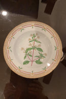 Stort Fantastisk Gammelt Royal Copenhagen Flora Danica Sæt 71 dele - Danam Antik