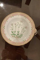 Stort Fantastisk Gammelt Royal Copenhagen Flora Danica Sæt 71 dele - Danam Antik