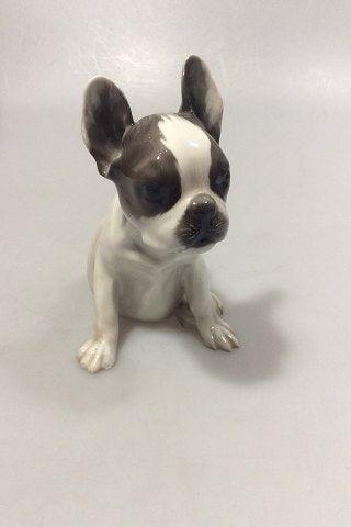 Rosenthal Tysk Porcelæns Hund Fransk Bulldog hvalp - Danam Antik