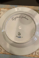 Stort Fantastisk Gammelt Royal Copenhagen Flora Danica Sæt 71 dele - Danam Antik