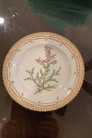 Stort Fantastisk Gammelt Royal Copenhagen Flora Danica Sæt 71 dele - Danam Antik