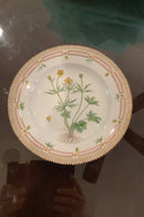 Stort Fantastisk Gammelt Royal Copenhagen Flora Danica Sæt 71 dele - Danam Antik