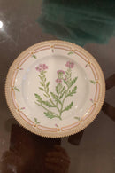 Stort Fantastisk Gammelt Royal Copenhagen Flora Danica Sæt 71 dele - Danam Antik