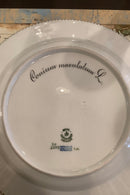 Stort Fantastisk Gammelt Royal Copenhagen Flora Danica Sæt 71 dele - Danam Antik