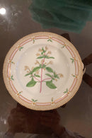 Stort Fantastisk Gammelt Royal Copenhagen Flora Danica Sæt 71 dele - Danam Antik