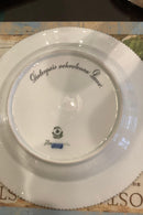 Stort Fantastisk Gammelt Royal Copenhagen Flora Danica Sæt 71 dele - Danam Antik