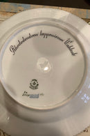 Stort Fantastisk Gammelt Royal Copenhagen Flora Danica Sæt 71 dele - Danam Antik