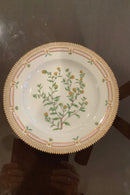 Stort Fantastisk Gammelt Royal Copenhagen Flora Danica Sæt 71 dele - Danam Antik