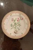 Stort Fantastisk Gammelt Royal Copenhagen Flora Danica Sæt 71 dele - Danam Antik