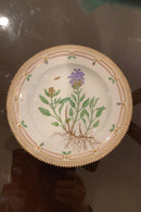 Stort Fantastisk Gammelt Royal Copenhagen Flora Danica Sæt 71 dele - Danam Antik