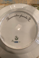 Stort Fantastisk Gammelt Royal Copenhagen Flora Danica Sæt 71 dele - Danam Antik