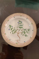 Stort Fantastisk Gammelt Royal Copenhagen Flora Danica Sæt 71 dele - Danam Antik