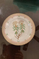 Stort Fantastisk Gammelt Royal Copenhagen Flora Danica Sæt 71 dele - Danam Antik