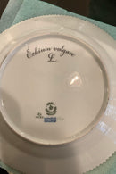 Stort Fantastisk Gammelt Royal Copenhagen Flora Danica Sæt 71 dele - Danam Antik