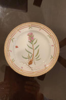 Stort Fantastisk Gammelt Royal Copenhagen Flora Danica Sæt 71 dele - Danam Antik