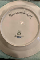 Stort Fantastisk Gammelt Royal Copenhagen Flora Danica Sæt 71 dele - Danam Antik