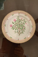 Stort Fantastisk Gammelt Royal Copenhagen Flora Danica Sæt 71 dele - Danam Antik