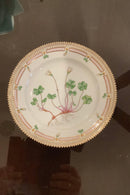 Stort Fantastisk Gammelt Royal Copenhagen Flora Danica Sæt 71 dele - Danam Antik