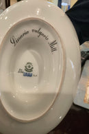 Stort Fantastisk Gammelt Royal Copenhagen Flora Danica Sæt 71 dele - Danam Antik