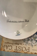 Stort Fantastisk Gammelt Royal Copenhagen Flora Danica Sæt 71 dele - Danam Antik