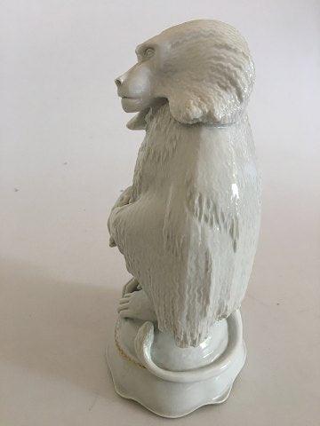 Meissen Blanc de Chine Figurine af Gelada Bavian - Danam Antik