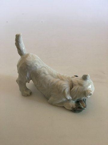Royal Copenhagen Figur Terrier med Sutsko No 3476 - Danam Antik