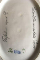 Royal Copenhagen Flora Danica Terrin No 3559 med underfad No 3561 - Danam Antik