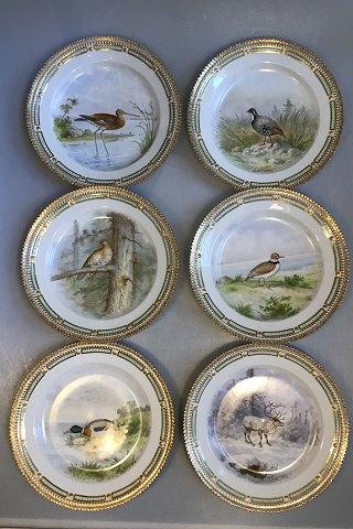 Royal Copenhagen Flora Danica/Fauna Danica Animal Luncheon Plates No 240/3550 (Set of 12)