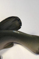 Royal Copenhagen Art Nouveau Fisk Sude figur No 372 - Danam Antik