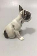 Rosenthal Tysk Porcelæns Hund Fransk Bulldog hvalp - Danam Antik