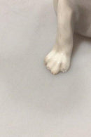 Rosenthal Tysk Porcelæns Hund Fransk Bulldog hvalp - Danam Antik