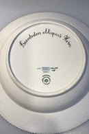 Royal Copenhagen Flora Danica Dyb Tallerken No 20/3545 - Danam Antik