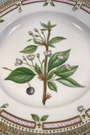 Royal Copenhagen Flora Danica Spisetallerken No 624.(3549) - Danam Antik