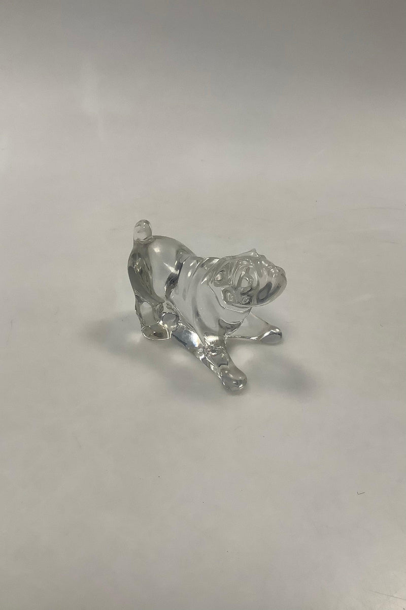 Baccarat Fransk Glas Bulldog Figur - Danam Antik