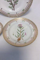 Antik Royal Copenhagen Flora Danica Spise Sæt til 12 personer 72 dele - Danam Antik