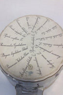 Royal Copenhagen Flora Danica Iskumme No 20/3531 - Danam Antik