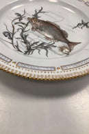 Royal Copenhagen Privatmalet Flora Danica Fisketallerken No 3549 - Danam Antik