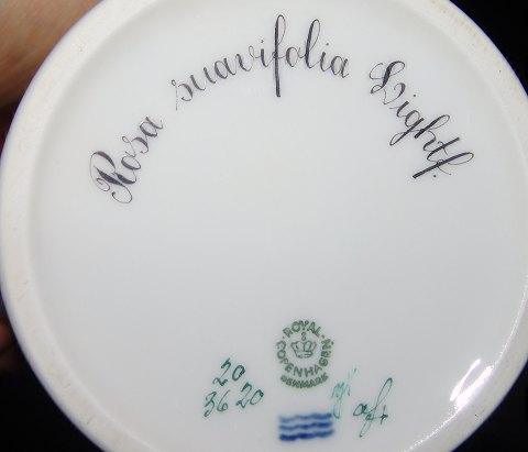 Kgl. Porcelæn Flora Danica Kaffekande No 3620 eller No 126 - Danam Antik