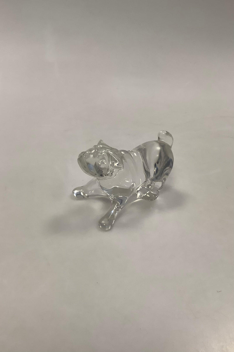 Baccarat Fransk Glas Bulldog Figur - Danam Antik