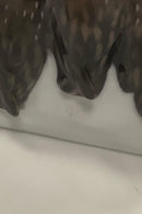 Royal Copenhagen Art Nouveau Skrivesæt med 3 Ugler og 1 mus No. 2177 - Danam Antik