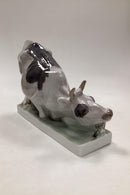 Sjælden Bing og Grøndahl Figur Knælende Ko på base - Danam Antik