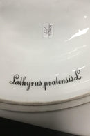 Royal Copenhagen Flora Danica Stort Terrin No 3560 med underfad no 3561 - Danam Antik