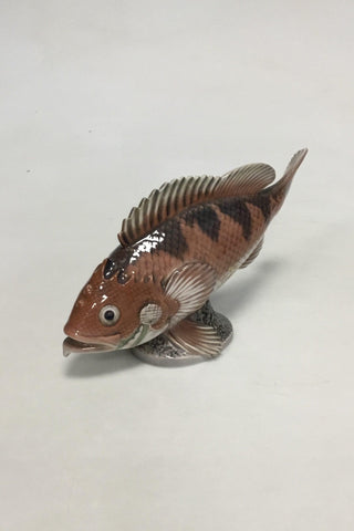 ダール・イェンセン フィギュア・オブ・ラージ・アカメ No 1386