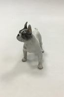 Royal Copenhagen figur af Boston terrier No 1457 - Danam Antik